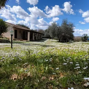 https://agriturismo-bio-pian-dei-casali.it-tuscanyhotel.com